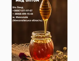 Закупаєм мед оптом