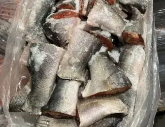 Лосось хребет свіжо морожена тільки ОПТ