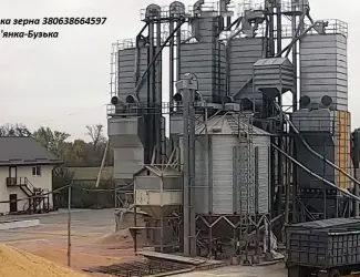 Зображення для оголошення Сушіння зернових