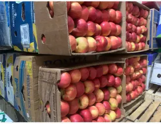 Зображення для оголошення Продам ябуко