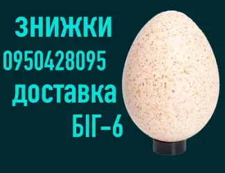 Яйцо Инкубационное| Яйце Інкубаційне | БИГ-6