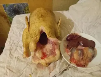 Зображення для оголошення Продам мясо утки