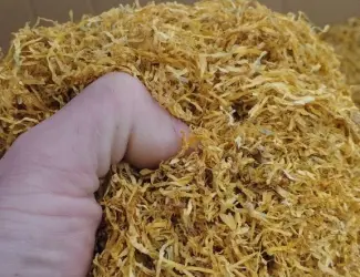 Зображення для оголошення Продам гарний тютюн