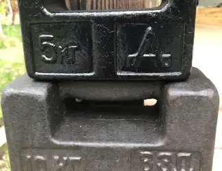 Зображення для оголошення Гири Го-4-20