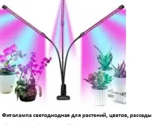 Зображення для оголошення Фитолампа светодиодная для растений