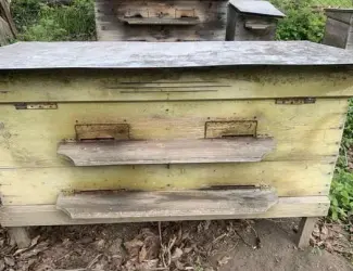 Продаються вулики б/в