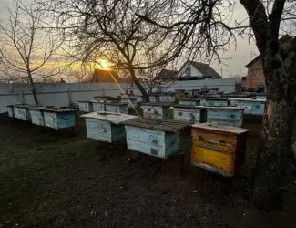 Зображення для оголошення Продам вулики б/у 50 шт