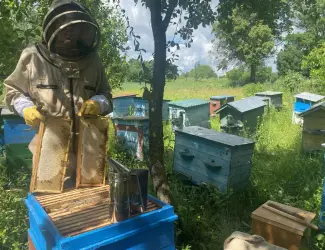 Вулики різні нові і б/у рамки суш