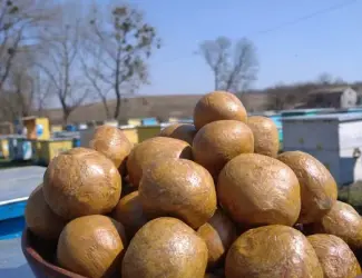 Зображення для оголошення Продам прополіс