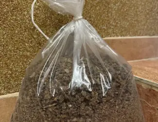 Зображення для оголошення Продам прополіс бджолиний