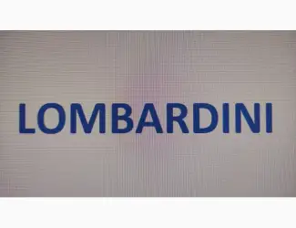 Запчастини Lombardini