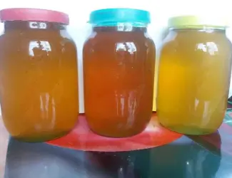 Мед - лісний акация, аморфа+маслина(лох золотист.