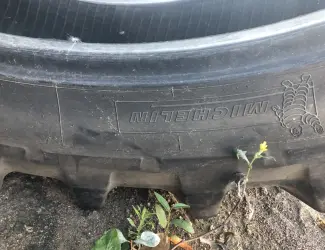 Зображення для оголошення Шини 320/90R54 (12.4R54) Michelin
