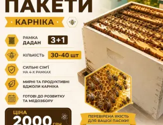 Зображення для оголошення Продам бджолопакети Карніка