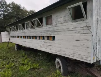 Зображення для оголошення Зареєстрованный бджолопавільйон