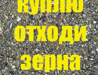 Зображення для оголошення Куплю зерно некондицію отходи зерна соняшника соі