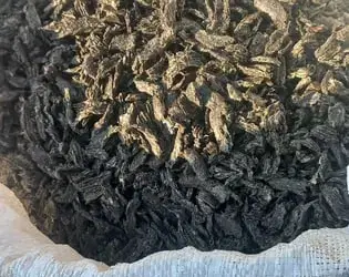 Зображення для оголошення Макуха соняшникова