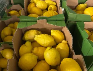 Продаж лимона з Іспанії