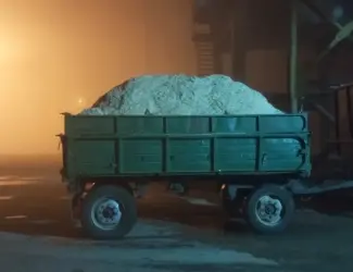 Зображення для оголошення Продам жом свіжий