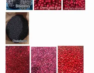 Зображення для оголошення ROKYTNE BERRY