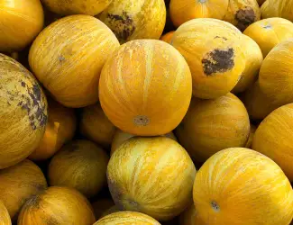 Продам солодку диню