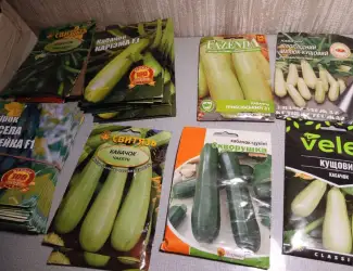 Зображення для оголошення Продам семена кабачков и огурцов