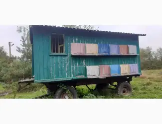 Бджолопавільйон