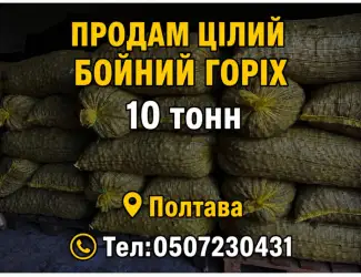 Зображення для оголошення Продам бойний горіх