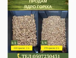 Зображення для оголошення Продам ядро горіха 1/2 та 1/4