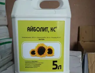 Айболит
