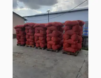 Продам горіх бойний