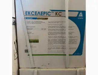 Екселеріс – якісний фунгіцид що контролює септоріоз листків і колосу