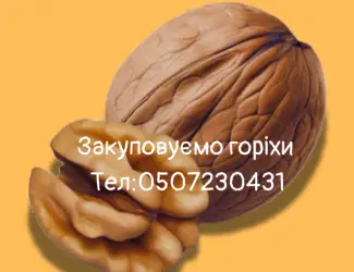 Зображення для оголошення Горіх куплю