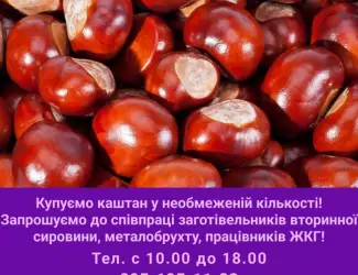 Зображення для оголошення Закуповуемо каштани у необмежений кількості (цілий без цвілі)
