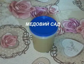 Нативний трутневий гомогенат