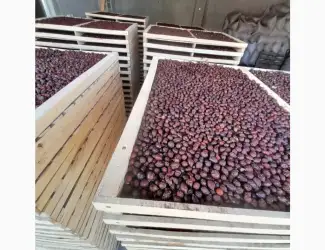 Зображення для оголошення Продам суху шипшину