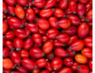 Зображення для оголошення Шипшина продам