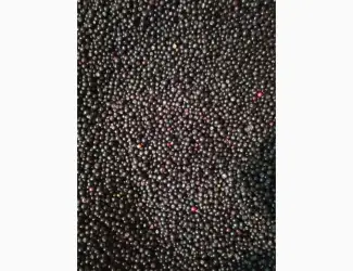 Зображення для оголошення Продам чорницю заморожену
