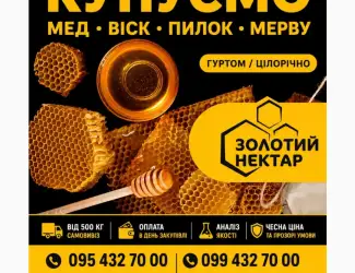 Купуємо мед оптом