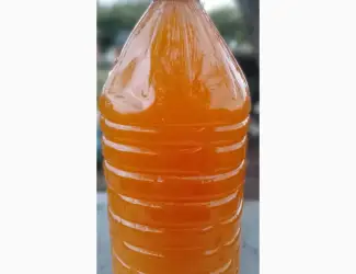 Зображення для оголошення Продам мед оптом соняшниковий