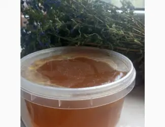 Продам мед та продукти бджільництва