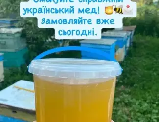 Зображення для оголошення Продаємо мед травневий