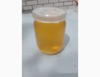 Мед з акації