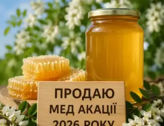 Мед акація 2026 року