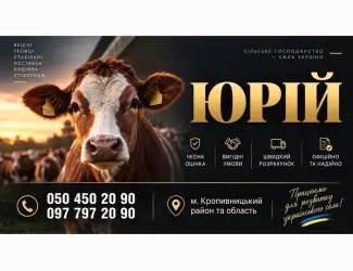Зображення для оголошення Зпкуповуємо ВРХ