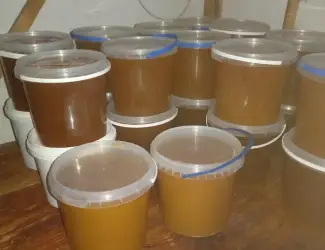 Зображення для оголошення Продам мед лісовий весняний