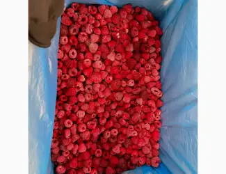 Зображення для оголошення Продам малину