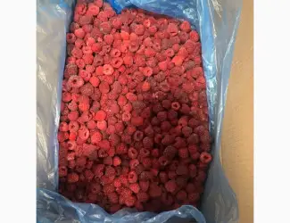 Зображення для оголошення Купую грис малину свіжу