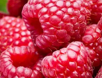 Зображення для оголошення Малина заморозка куплю