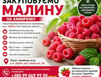 Зображення для оголошення Прийом малини в Лубнах: вигідна ціна + самовивіз від 2 тонн